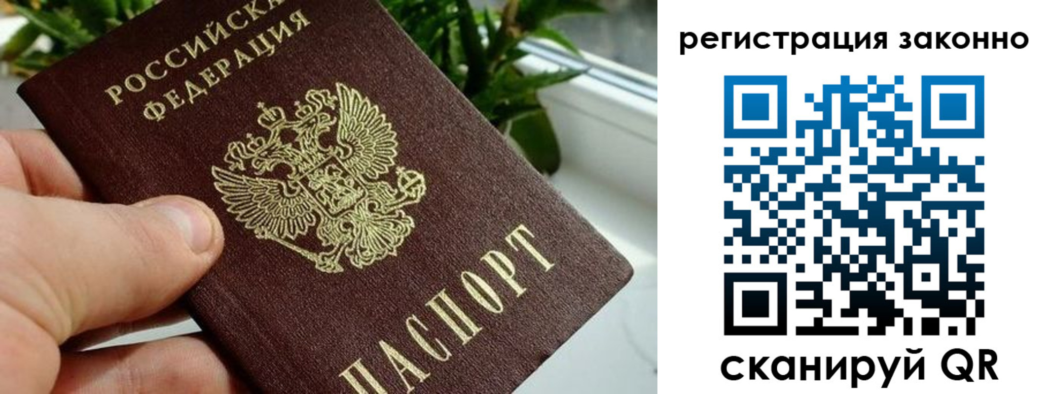 прописка гарантия в Инте
